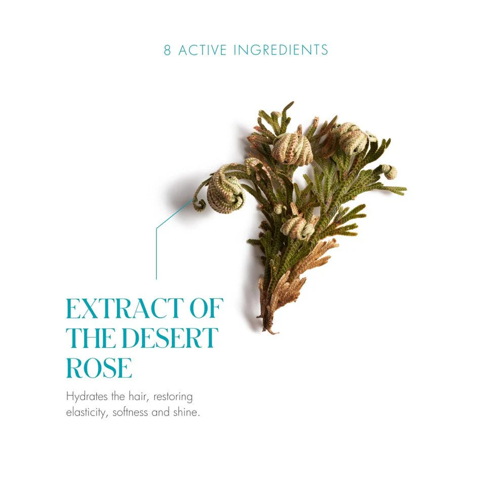 La Biosthetique Structure Repair Nourishing Mask 100ml - Image 3
